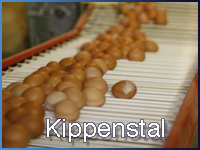 kippenstal