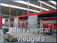 melkveestalvleugels